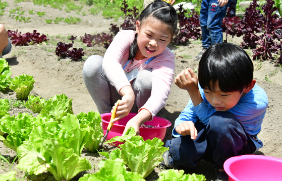 2023「食育福袋」- 孩子們的第一堂食育課